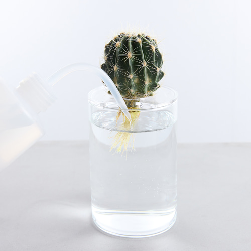 02：ガラス サークル プランター 大理石ホルダー 多肉植物 サボテン 花瓶 サボテン・多肉植物の水栽培専用ポット】Plant vase 一輪挿し・花瓶