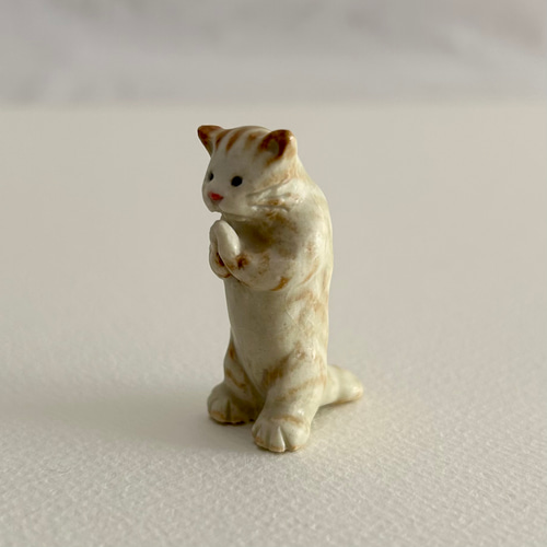 ネコ虎出品 Web shop 100個限定】+d｜ネゴ KONCENT限定 茶トラvsサバトラ