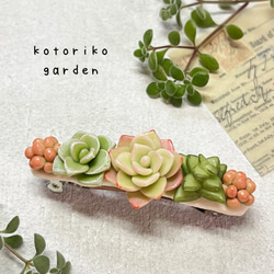 樹脂粘土 多肉植物のキーホルダー キーホルダー kotoriko garden 通販