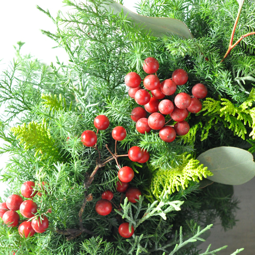 早割クリスマス2025✽フレッシュな針葉樹✽赤い実のクリスマスリース