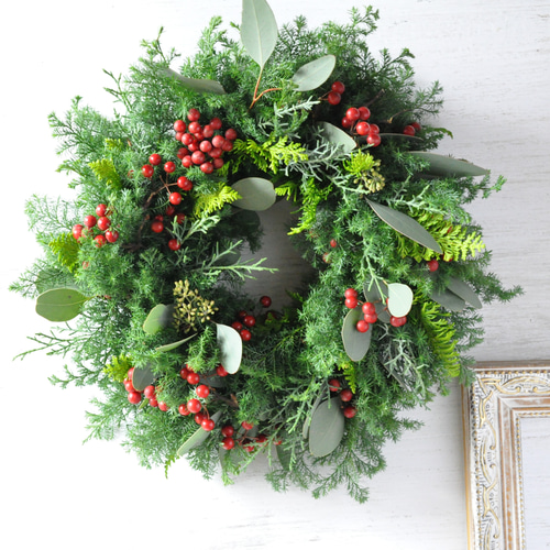 早割クリスマス2025✽フレッシュな針葉樹✽赤い実のクリスマスリース