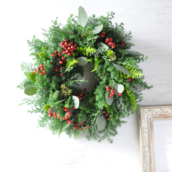 早割クリスマス2025✽フレッシュな針葉樹✽赤い実のクリスマスリース