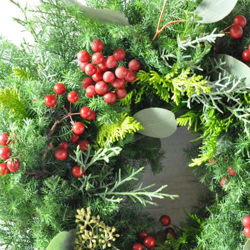 早割クリスマス2025✽フレッシュな針葉樹✽赤い実のクリスマスリース