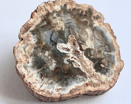 珪化木（ペトリファイドウッド）B 天然石 はな's works 通販 18559687