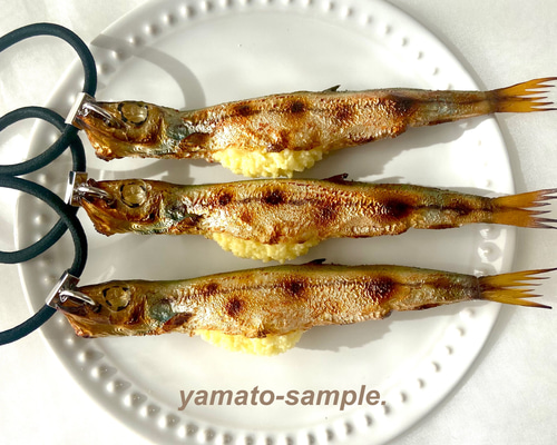 9abc70f3e0377161d7b6149fc5d9d2  