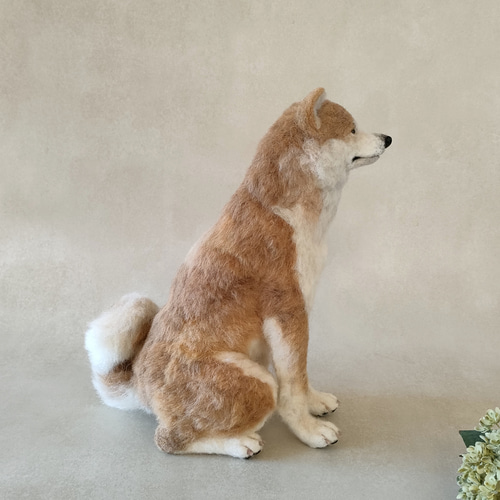 羊毛フェルト犬 赤毛の秋田犬さん〈24112〉 羊毛フェルト 羊毛わんこ