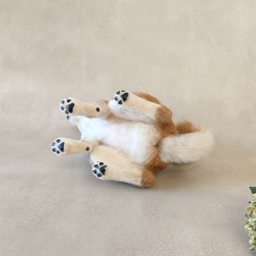 羊毛フェルト犬 赤毛の秋田犬さん〈24112〉 羊毛フェルト 羊毛わんこ