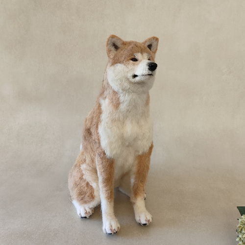 羊毛フェルト犬 赤毛の秋田犬さん〈24112〉 羊毛フェルト 羊毛わんこ