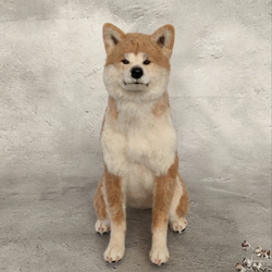 羊毛フェルト 豆柴 柴犬子犬 完成品 羊毛フェルト SweetDog ふぅ