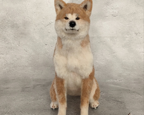 羊毛フェルト犬 赤毛の秋田犬さん〈24112〉 羊毛フェルト 羊毛