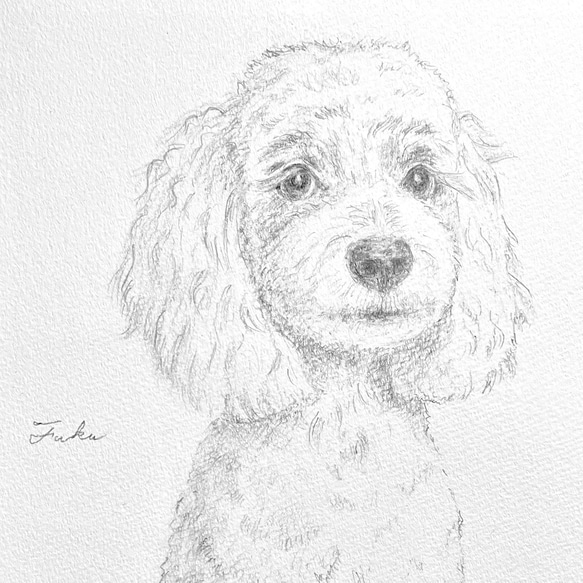 手描き・ペット似顔絵 どんな動物でも うちの子 オーダーメイド