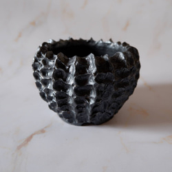 3号鉄砂黒鉢675　塊根植物　多肉植物　盆栽　植木鉢　作家鉢　沖縄 1枚目の画像