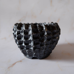 3号鉄砂黒鉢675　塊根植物　多肉植物　盆栽　植木鉢　作家鉢　沖縄 3枚目の画像