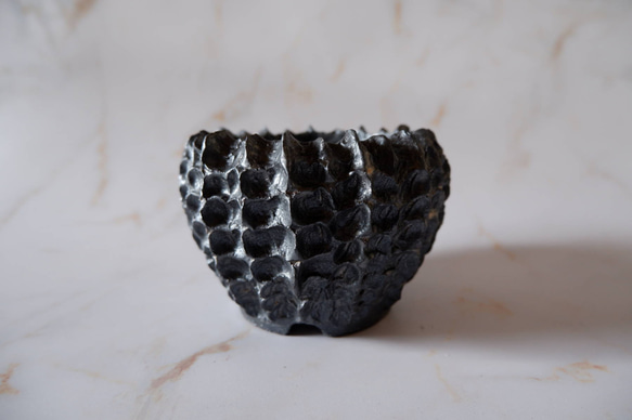 3号鉄砂黒鉢675　塊根植物　多肉植物　盆栽　植木鉢　作家鉢　沖縄 3枚目の画像