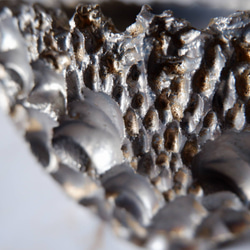 5.5号燻し金彩鉢677　塊根植物　多肉植物　盆栽　植木鉢　作家鉢　沖縄 2枚目の画像