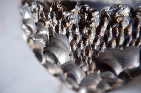 5.5号燻し金彩鉢677　塊根植物　多肉植物　盆栽　植木鉢　作家鉢　沖縄 2枚目の画像