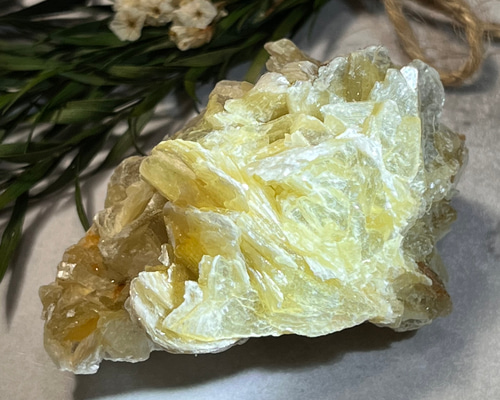 b8098f396c6376e42bfd211f51f055