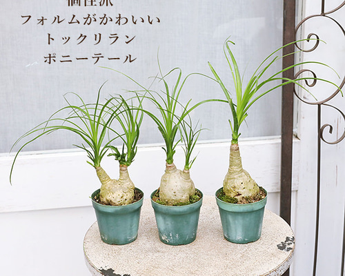 1f1010675b4f971e3f3599e3971eef