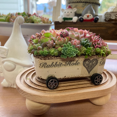 オーダー承ります 多肉植物寄せ植え そのまま飾れる ブーケ寄せ