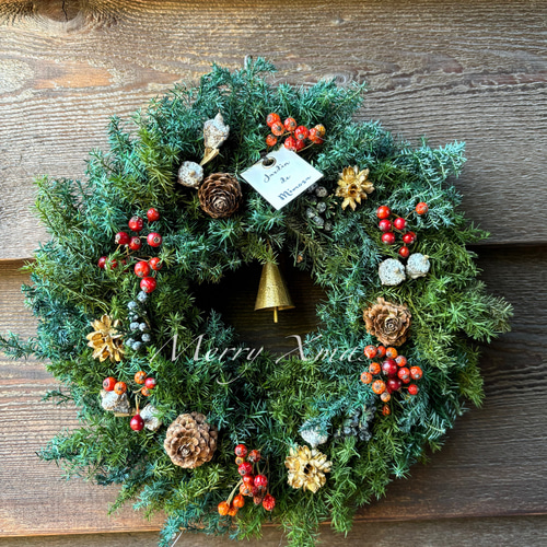来年も楽しめる★クリスマスリース クリスマスリース ずっとグリーン来年もok プリザーブドフラワー