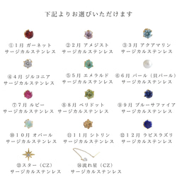 月が照らす14種から選べる星のピアス　カスタマイズできる誕生石　サージカルステンレス　シルバー925 3枚目の画像