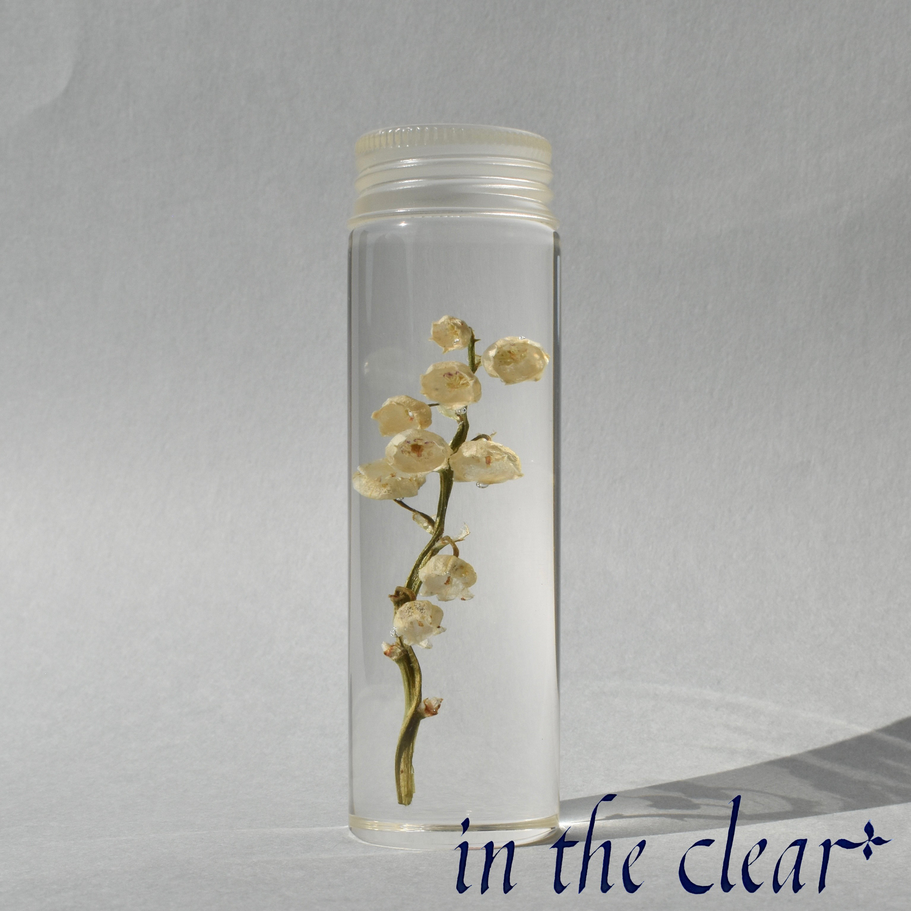 errer 香水瓶 白い小さな花 標本 ハーバリュウム 植物標本