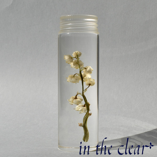植物標本 スズラン 白 レジン 小瓶型 ハーバリウム・植物標本 in