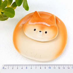 柴犬セパレートプレート 13 cm　楽しいイヌの陶器　1点あります 3枚目の画像