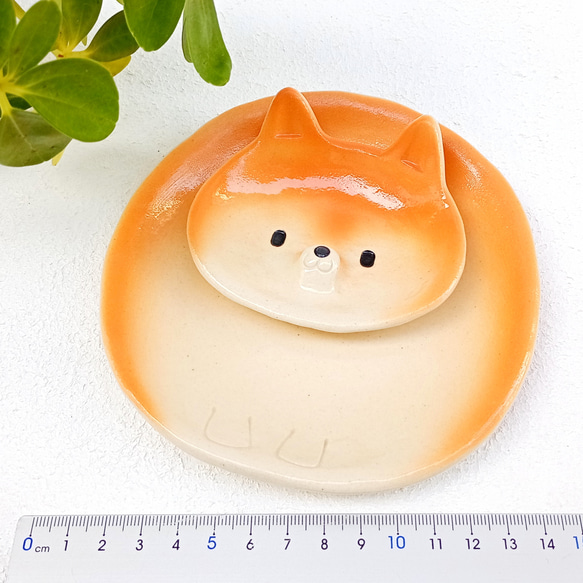 柴犬セパレートプレート 13 cm　楽しいイヌの陶器　1点あります 3枚目の画像