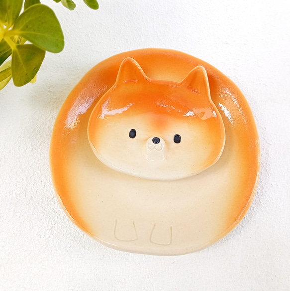 柴犬セパレートプレート 13 cm　楽しいイヌの陶器　1点あります 6枚目の画像