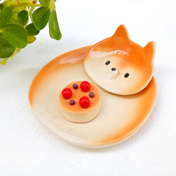 柴犬セパレートプレート 13 cm　楽しいイヌの陶器　1点あります 2枚目の画像