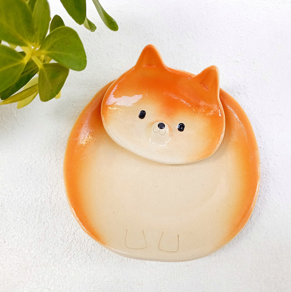 柴犬セパレートプレート 13 cm　楽しいイヌの陶器　1点あります 1枚目の画像