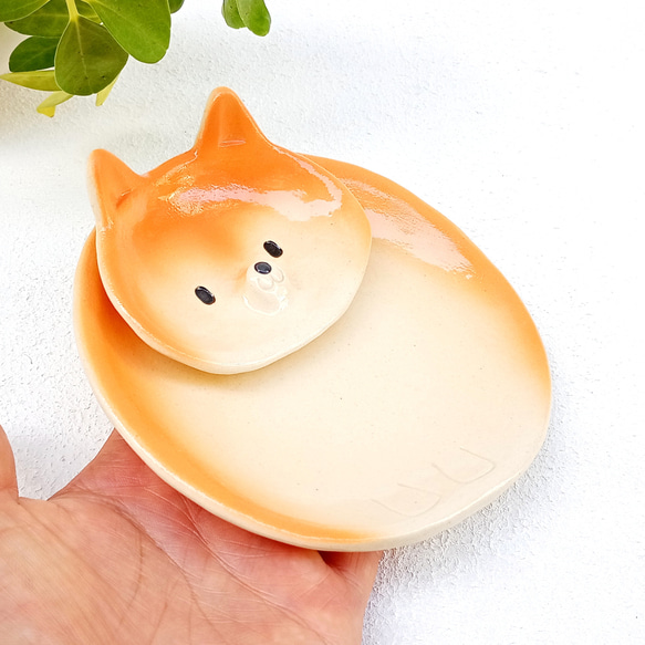 柴犬セパレートプレート 13 cm　楽しいイヌの陶器　1点あります 4枚目の画像