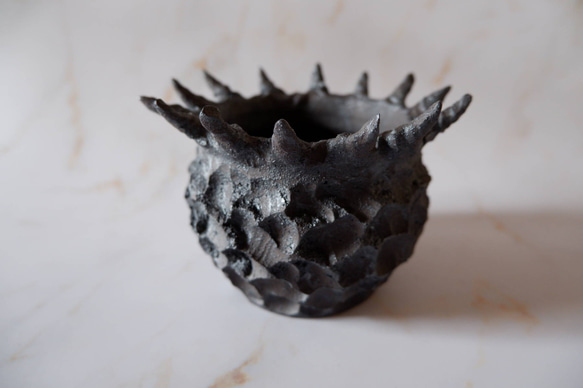 3号窯変黒棘鉢687 塊根植物 多肉植物 盆栽 植木鉢 作家鉢 沖縄