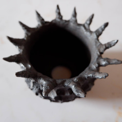 3号窯変黒棘鉢687　塊根植物　多肉植物　盆栽　植木鉢　作家鉢　沖縄 4枚目の画像