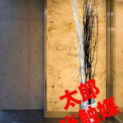 光触媒 人工観葉植物 ウォールグリーン フェイク フラワー ブドウ