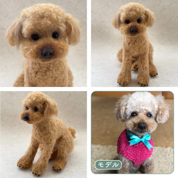 羊毛フェルト【オーダーメイド】うちの子オーダー✴︎犬✴︎愛犬✴︎ペット✴︎ハンドメイド✴︎ペットロスペットロス 2枚目の画像