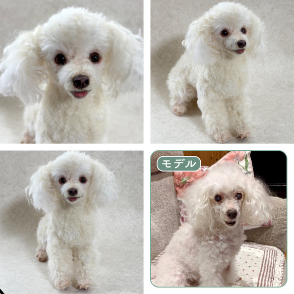 羊毛フェルト【オーダーメイド】うちの子オーダー✴︎犬✴︎愛犬✴︎ペット✴︎ハンドメイド✴︎ペットロスペットロス 11枚目の画像