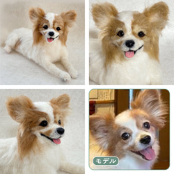 羊毛フェルト【オーダーメイド】うちの子オーダー✴︎犬✴︎愛犬✴︎ペット✴︎ハンドメイド✴︎ペットロスペットロス 4枚目の画像