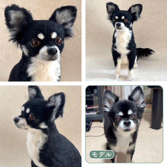 羊毛フェルト【オーダーメイド】うちの子オーダー✴︎犬✴︎愛犬✴︎ペット✴︎ハンドメイド✴︎ペットロスペットロス 14枚目の画像