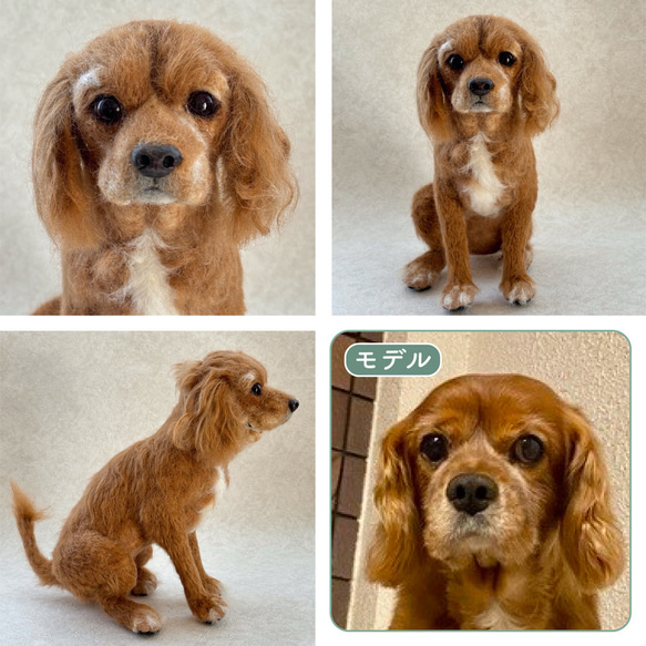 羊毛フェルト【オーダーメイド】うちの子オーダー✴︎犬✴︎愛犬✴︎ペット✴︎ハンドメイド✴︎ペットロスペットロス 3枚目の画像