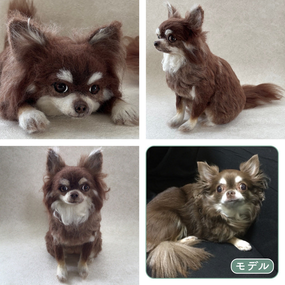 羊毛フェルト【オーダーメイド】うちの子オーダー✴︎犬✴︎愛犬✴︎ペット✴︎ハンドメイド✴︎ペットロスペットロス 18枚目の画像
