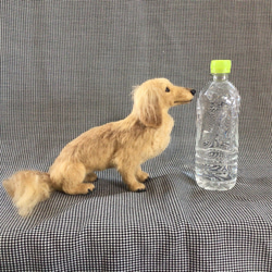 羊毛フェルト【オーダーメイド】うちの子オーダー✴︎犬✴︎愛犬✴︎ペット✴︎ハンドメイド✴︎ペットロスペットロス 16枚目の画像