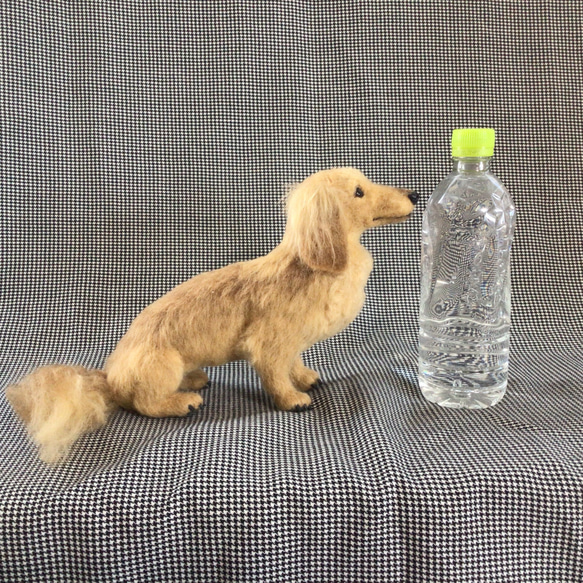 羊毛フェルト【オーダーメイド】うちの子オーダー✴︎犬✴︎愛犬✴︎ペット✴︎ハンドメイド✴︎ペットロスペットロス 16枚目の画像