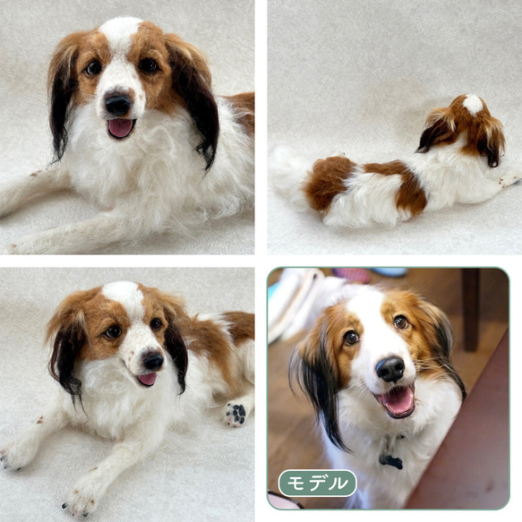 羊毛フェルト【オーダーメイド】うちの子オーダー✴︎犬✴︎愛犬✴︎ペット✴︎ハンドメイド✴︎ペットロスペットロス 12枚目の画像