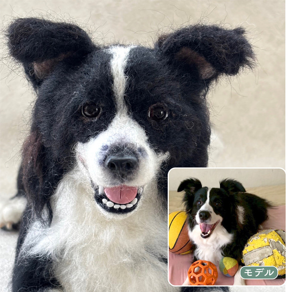 羊毛フェルト【オーダーメイド】うちの子オーダー✴︎犬✴︎愛犬✴︎ペット✴︎ハンドメイド✴︎ペットロスペットロス 7枚目の画像