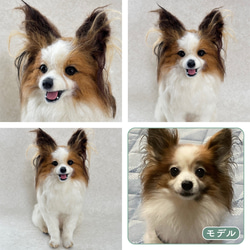 羊毛フェルト【オーダーメイド】うちの子オーダー✴︎犬✴︎愛犬✴︎ペット✴︎ハンドメイド✴︎ペットロスペットロス 17枚目の画像