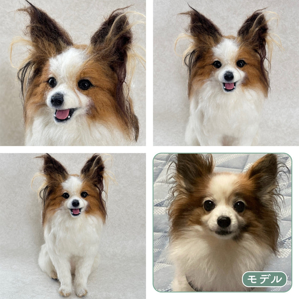 羊毛フェルト【オーダーメイド】うちの子オーダー✴︎犬✴︎愛犬✴︎ペット✴︎ハンドメイド✴︎ペットロスペットロス 17枚目の画像