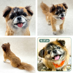羊毛フェルト【オーダーメイド】うちの子オーダー✴︎犬✴︎愛犬✴︎ペット✴︎ハンドメイド✴︎ペットロスペットロス 10枚目の画像