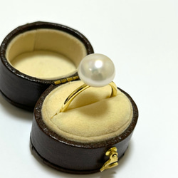 アクセサリー HIMAWARI risa | . himawari gom twin set color / cream yellow , clear